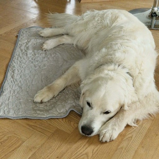 PetCool™ – Køletæppe til hund og kat