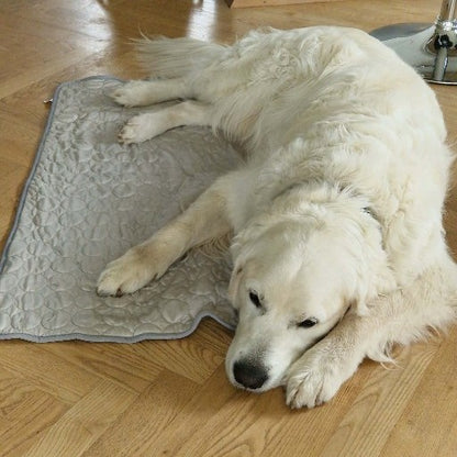 PetCool™ – Køletæppe til hund og kat