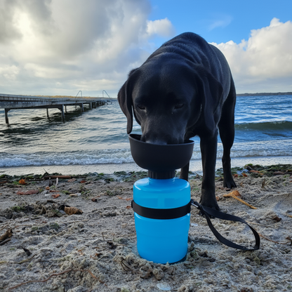 PetBottle™ – Drikkedunk til hund og kat