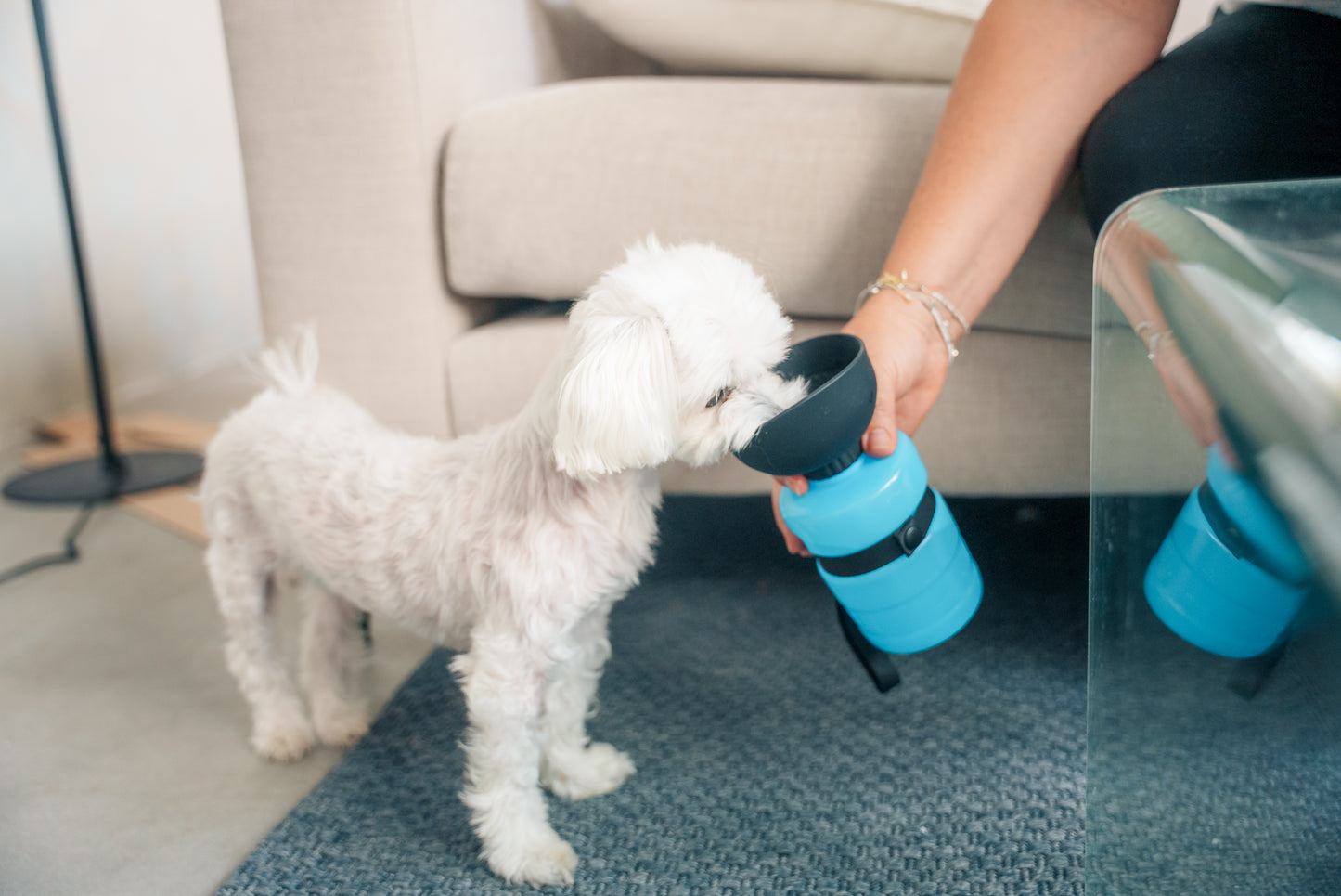 PetBottle™ – Drikkedunk til hund og kat