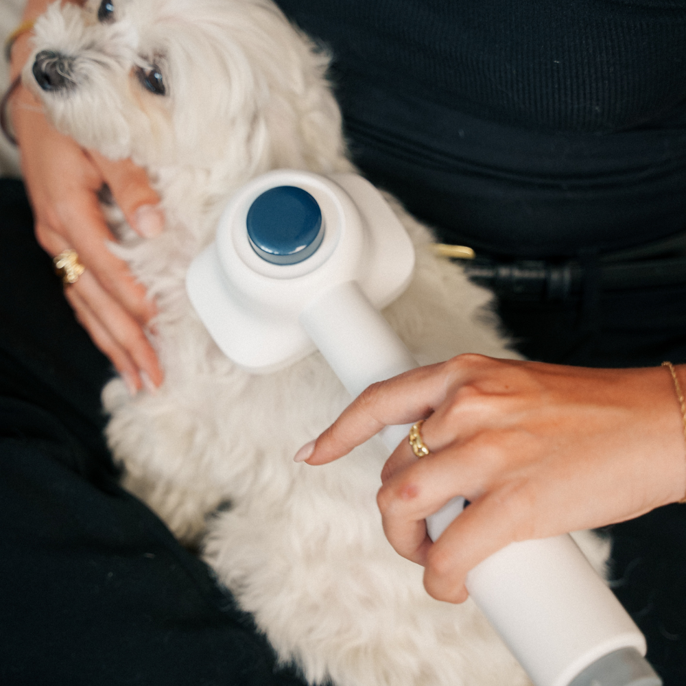 GroomPro™  – Pelspleje til hund og kat