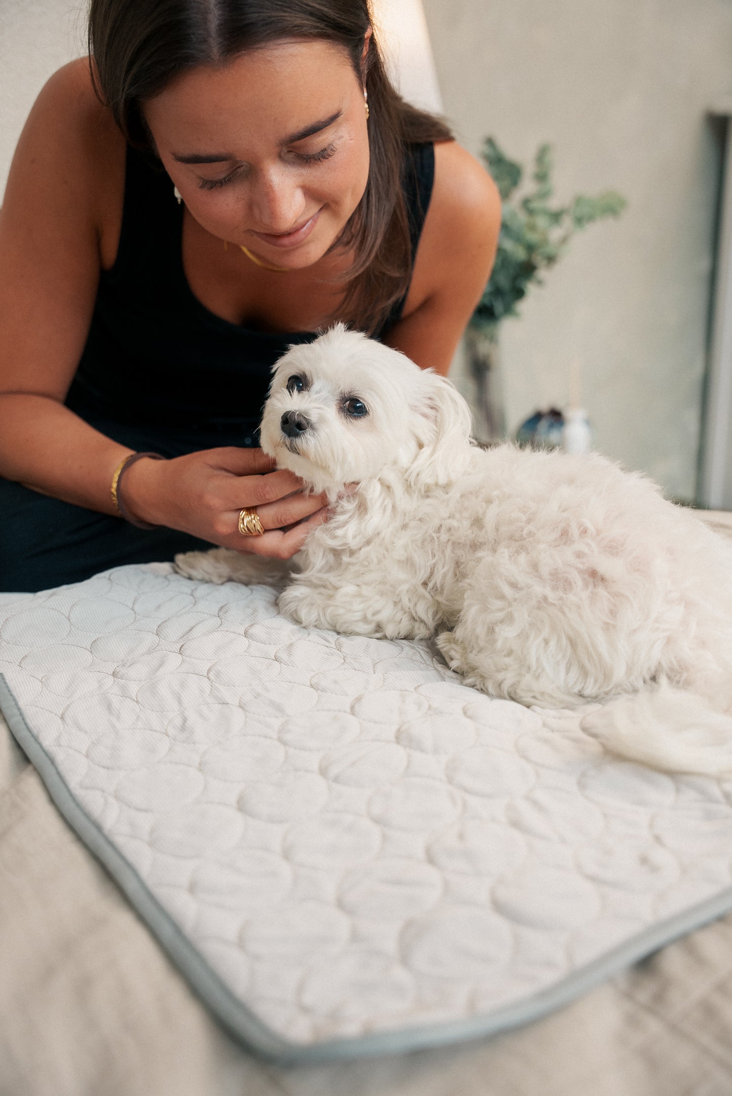 PetCool™ – Køletæppe til hund og kat