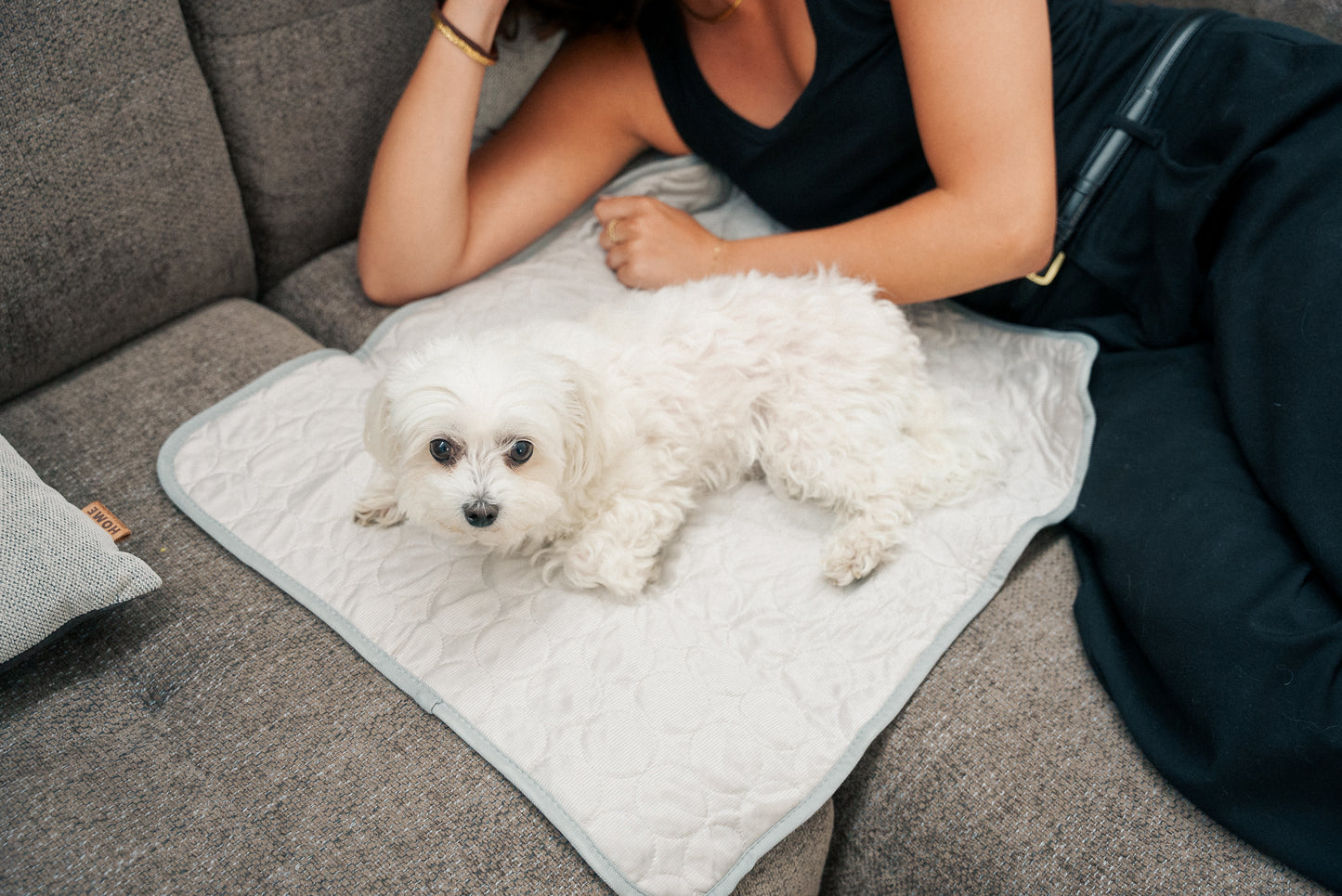 PetCool™ – Køletæppe til hund og kat