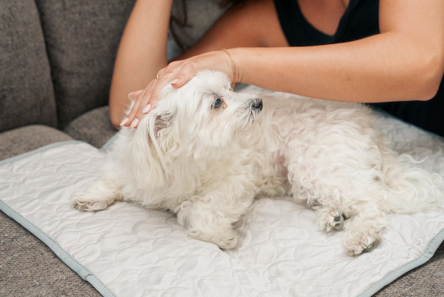 PetCool™ – Køletæppe til hund og kat