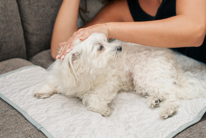 PetCool™ – Køletæppe til hund og kat