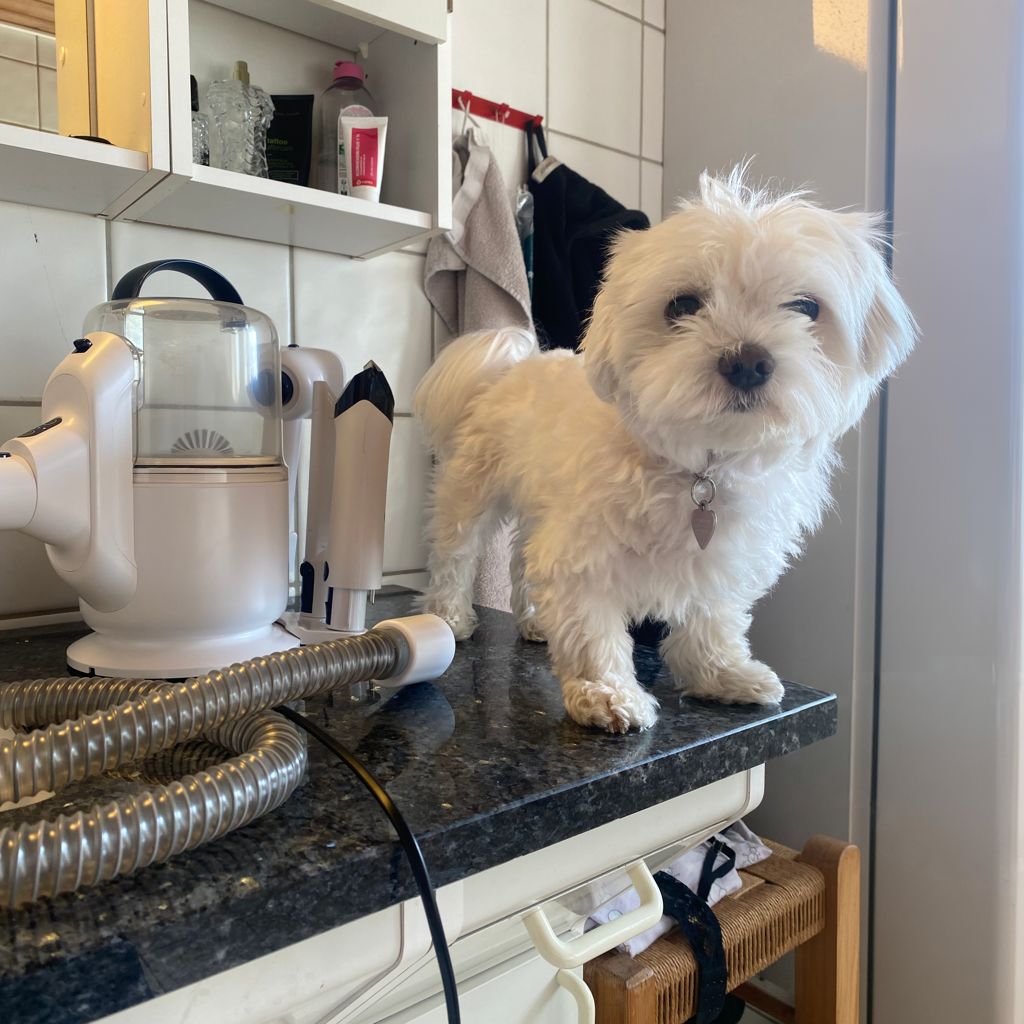 GroomPro™ Pelsplejesæt – Professionel hjemme-pleje uden rod