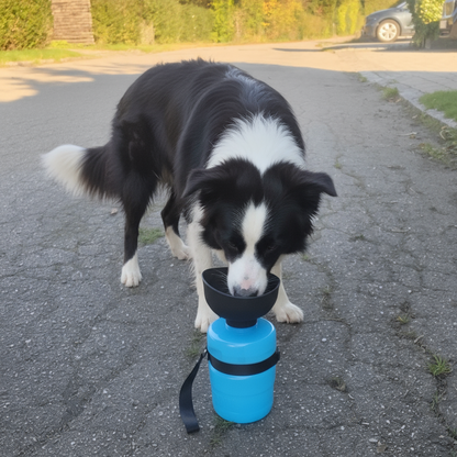 PetBottle™ – Drikkedunk til hund og kat