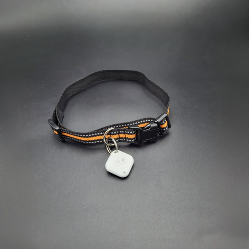 Ofte Stillede Spørgsmål