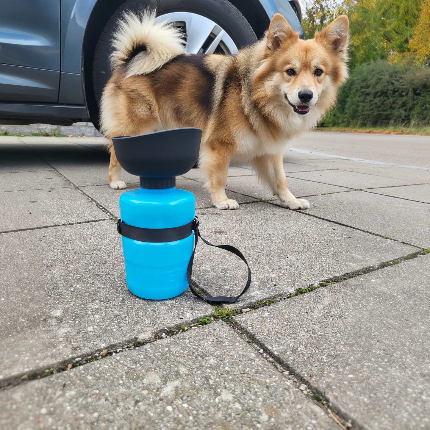 PetBottle™ – Drikkedunk til hund og kat