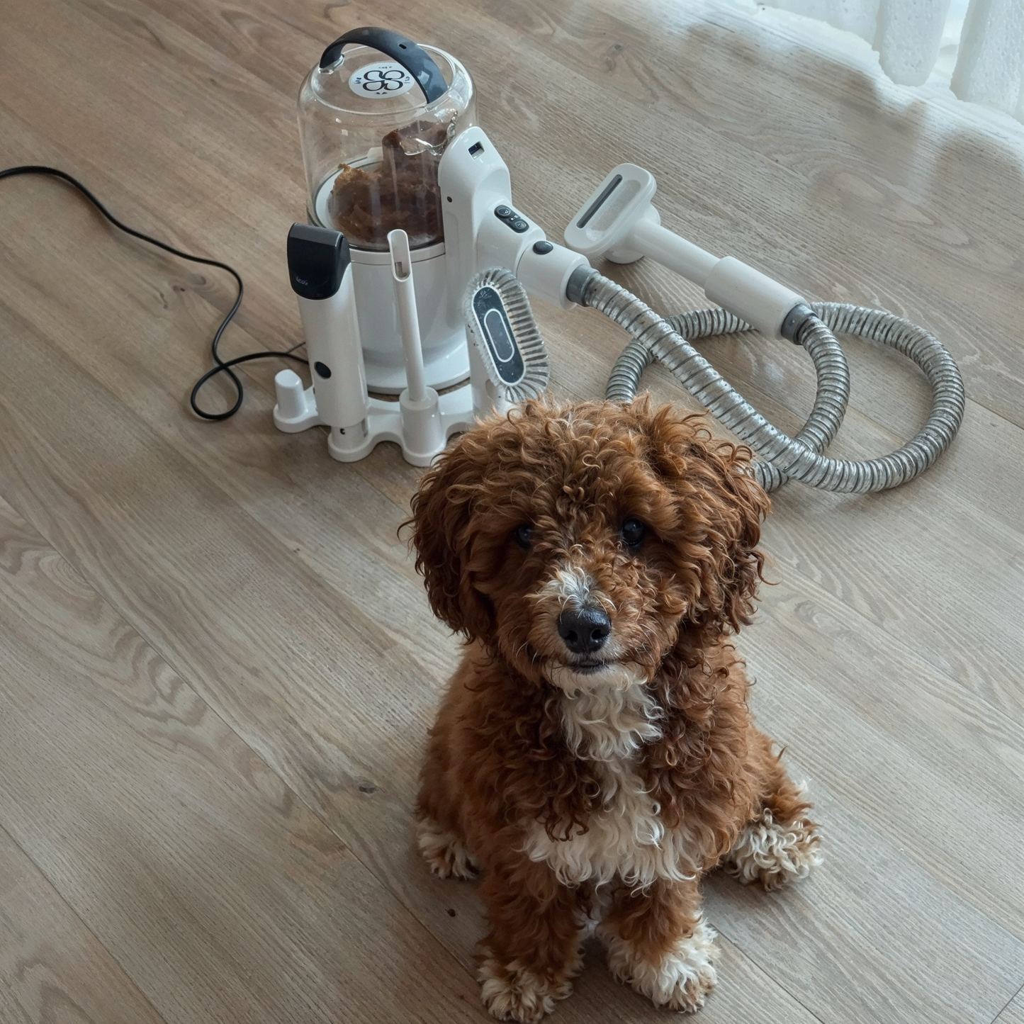 GroomPro™ Pelsplejesæt – Professionel hjemme-pleje uden rod