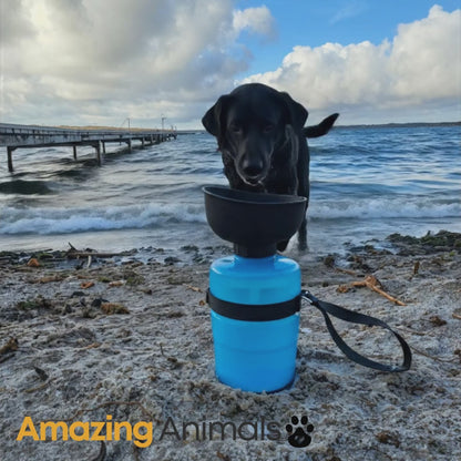 PetBottle™ – Drikkedunk til hund og kat